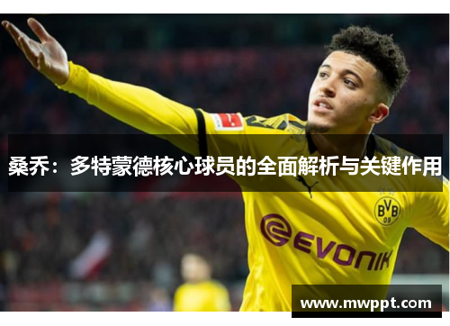 桑乔：多特蒙德核心球员的全面解析与关键作用