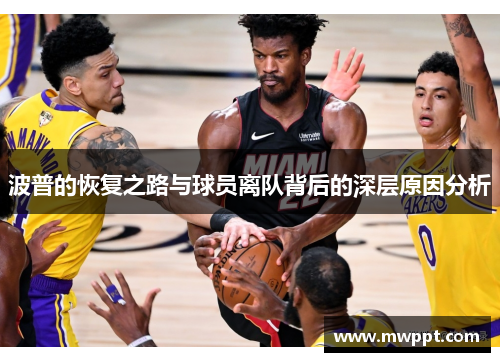 波普的恢复之路与球员离队背后的深层原因分析