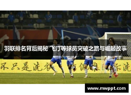 羽联排名背后揭秘 飞汀等球员突破之路与崛起故事